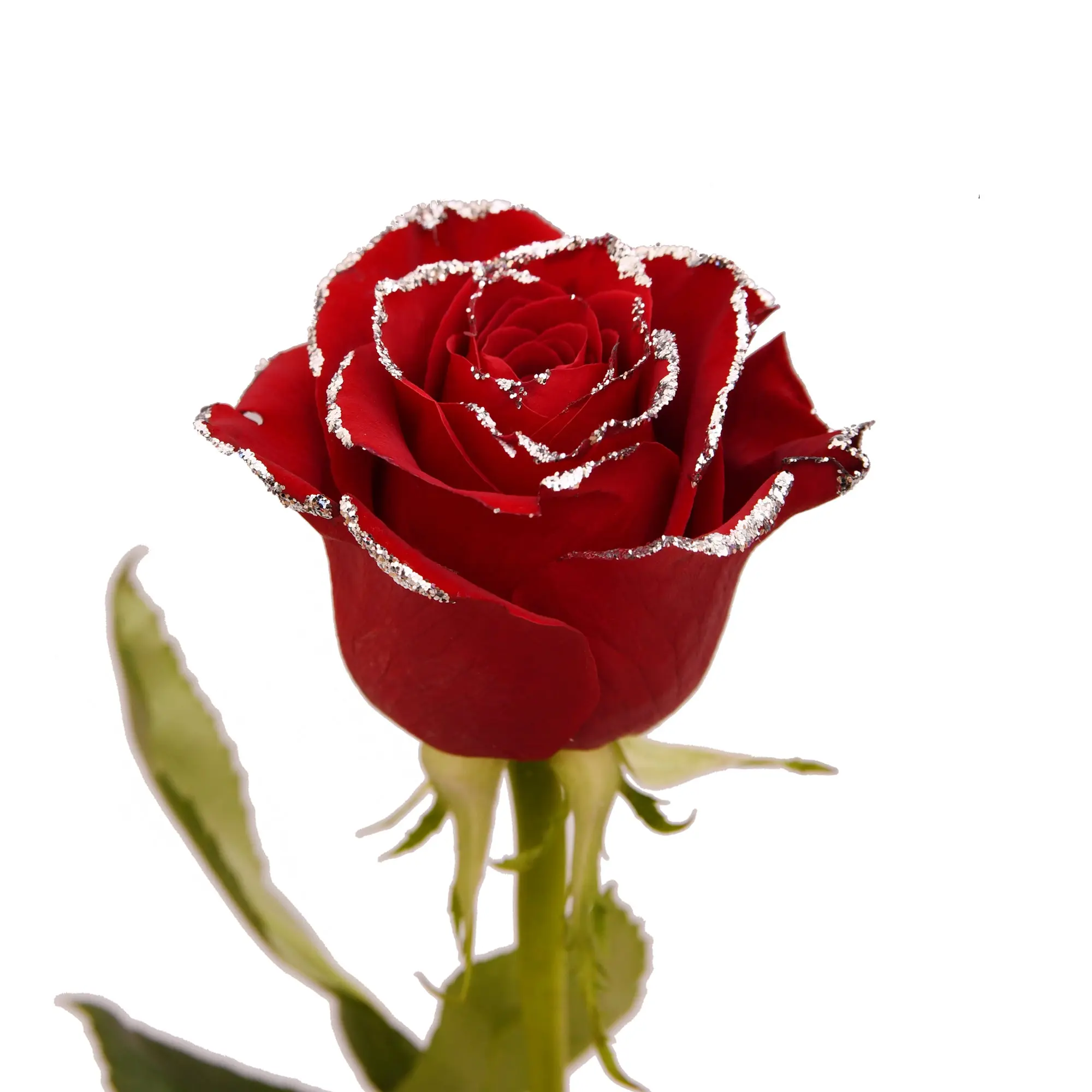 Red & Silver Glitter Roses