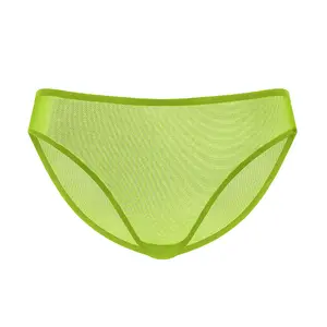 HSIA Seraphina High Waisted Summer Breathable Sheer Mesh Panty Plus Size Sexy Breathable Full Coverage Briefs Soft Lightweight Seamless Comfort 100% Cotton Crotch Matching Underwear Womenswear SpringStatements