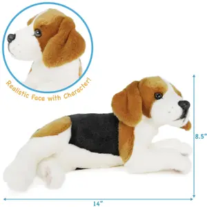 Burkham The Beagle