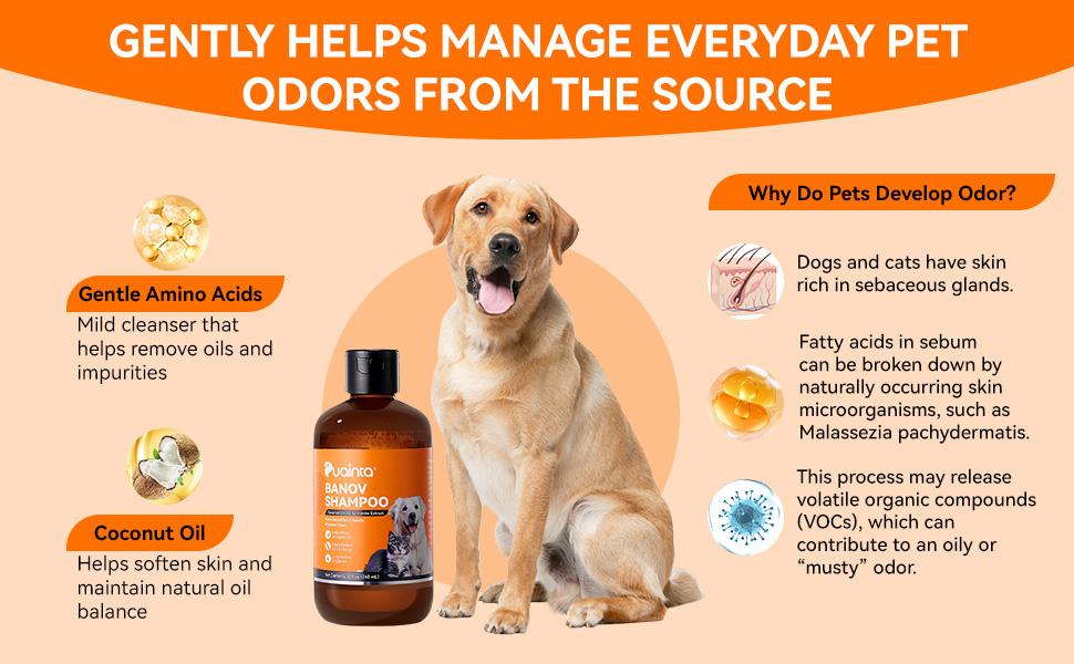 Itch-Relieving Shampoo-PUAINTA 8oz Banov Pets Shampoo for Dogs & Cats | Plant-Added Formula Addresses Itching & Ringworm Contains Chamomile Rosemary & Coconut Oil，Deep Clean Anti-Odour, Enhances Coat Shine, Easy Rinse