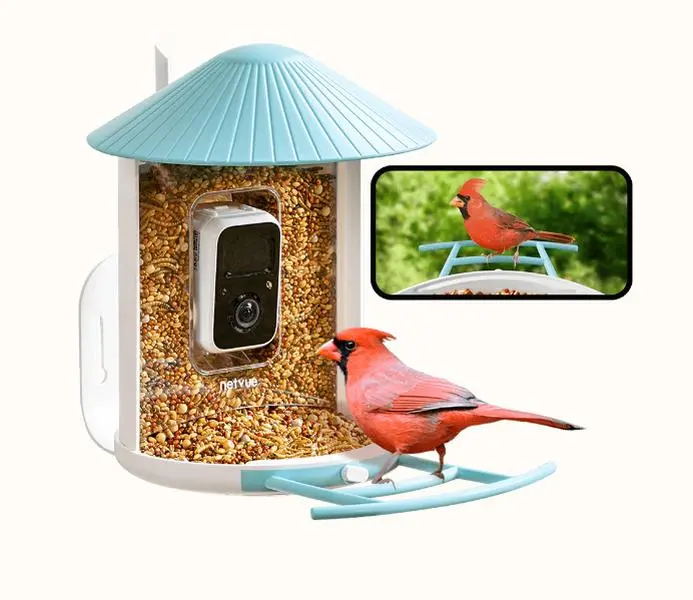 Birdfy Feeder 1 - Bird Feeder Camera