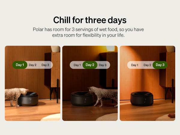 PETLIBRO Automatic Cat Feeder, Refrigerated wet food dispenser with WiFi control, 3 days freshness, 3 timed meals,  quick cooling