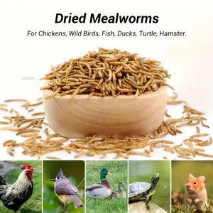 Mealworms, 100% Non-GMO DriedMealworms, High-Protein Meal Worm Treats for YourChickens, Ducks, Wild Birds, Turtles, Hamsters,Fish,and Hedgehogs