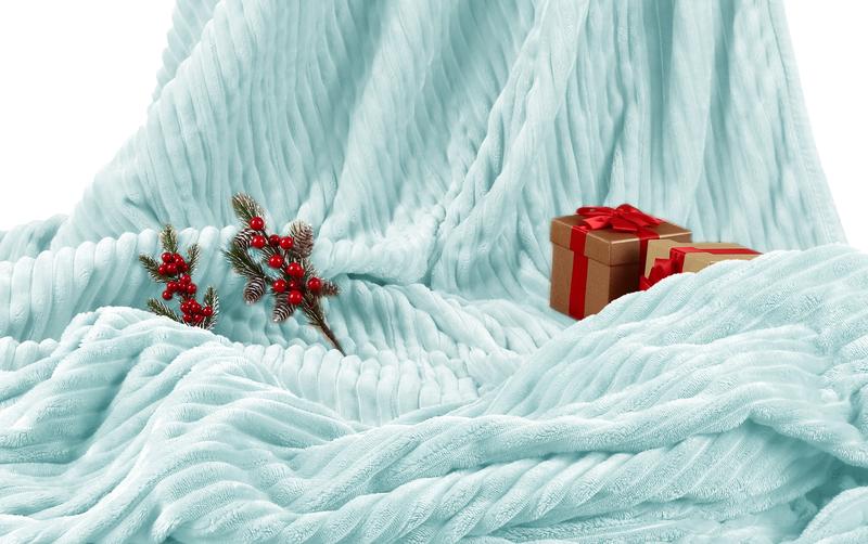 Heated Blanket Electric Blanket Twin Full Queen Sizes Heated Warm Durable Flannel with 10 Heating Levels, 12 Timer Settings, Fast Heating & Machine Washable, Suitable for Beds, Sofas and Offices, Perfect Holiday Gift for Christmas, Halloween