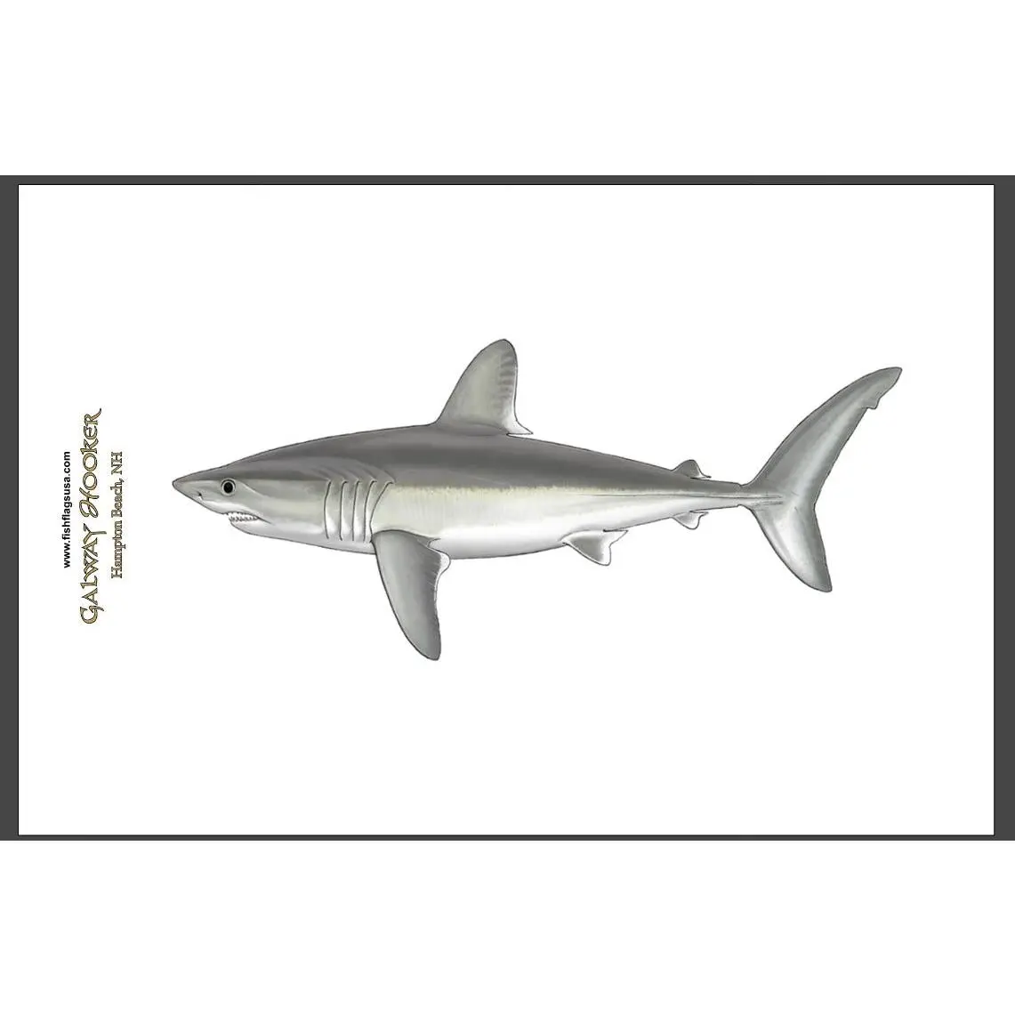 Porbeagle Shark Boat Decal - Water Sports Themed Decor for Boating Enthusiasts