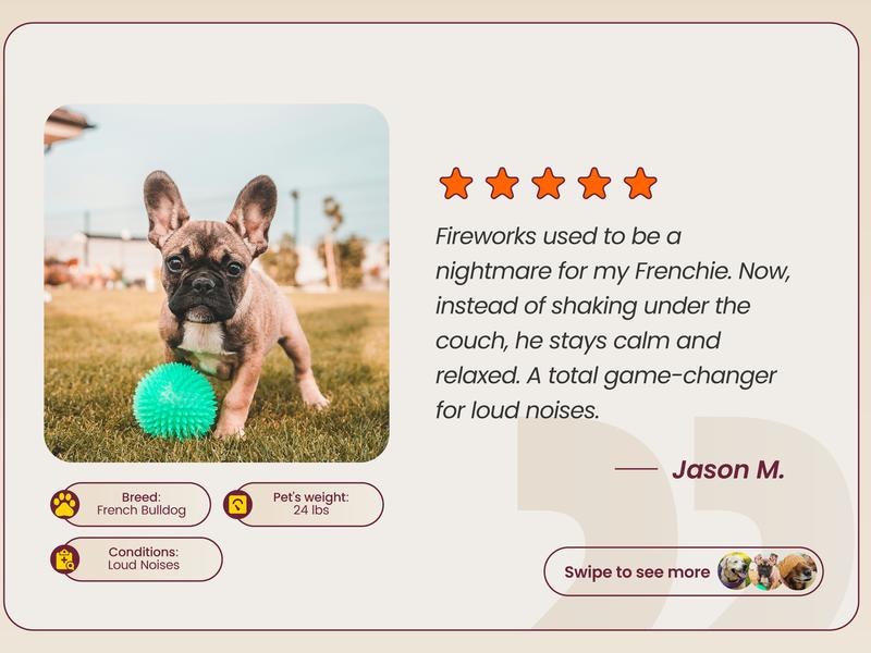 Boops Pets Calming Chews for Dogs – KSM-66 Ashwagandha, L-Theanine & Melatonin – Supports Relaxation & Calm Behavior – Great for Storms, Fireworks, Travel & Vet Visits – Turkey & Beef Flavor