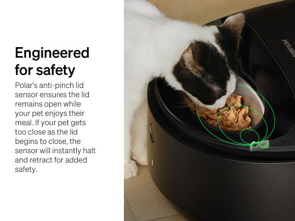 PETLIBRO Automatic Cat Feeder, Refrigerated wet food dispenser with WiFi control, 3 days freshness, 3 timed meals, quick cooling PETLIBRO Automatic Cat Feeder, Refrigerated wet food dispenser with WiFi control, 3 days freshness, 3 timed meals, quick cooling