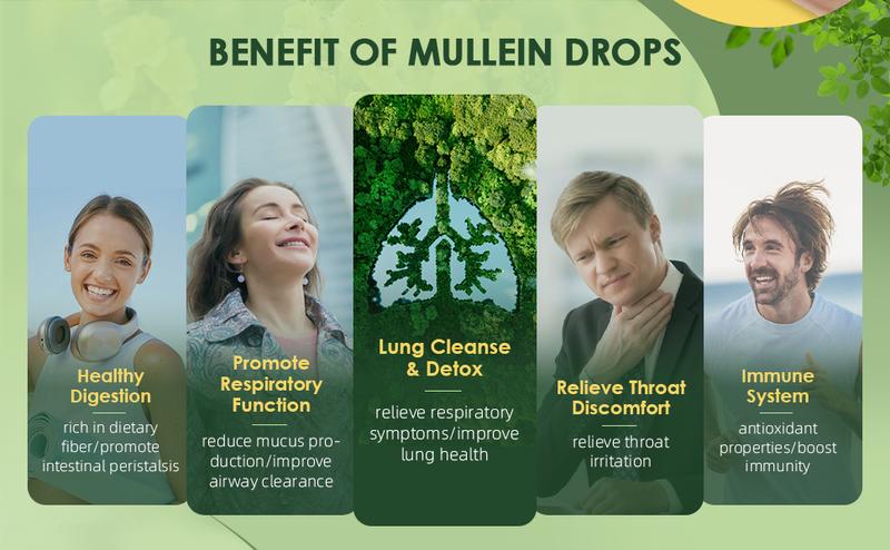 *****Greenpeople Mullein Leaf Drops for Lungs Mullein Leaf Extract&Marshmallow Root for Lung Cleanse&Detox -Immune Support Supplement, 2 fl oz Healthcare Vitamin *****Greenpeople Mullein Leaf Drops for Lungs Mullein Leaf Extract&Marshmallow Root for Lung Cleanse&Detox -Immune Support Supplement, 2 fl oz Healthcare Vitamin