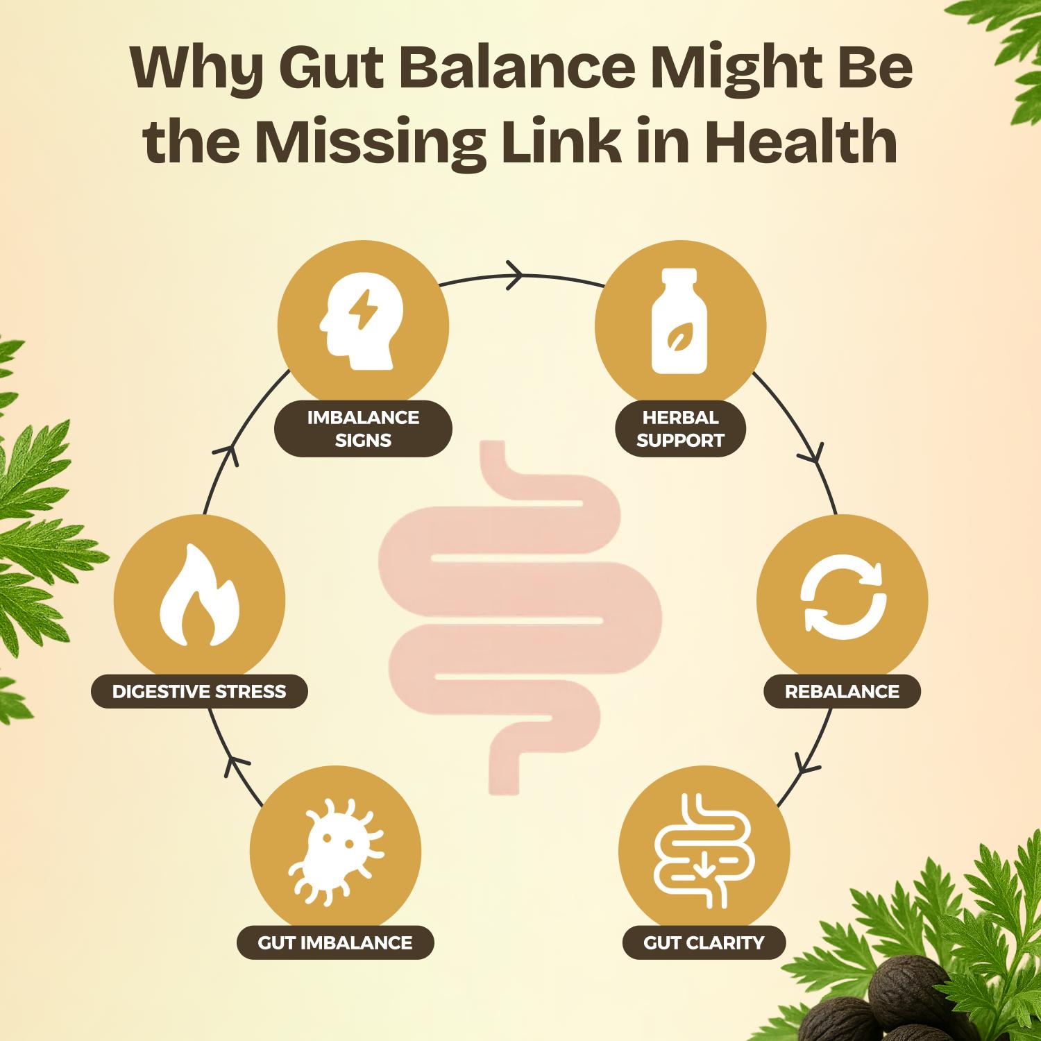 Serene Herbs Paraclara Wormwood Cleanse for Humans - Black Walnut Hull Clove Detox, Natural Gut Health Supplement for Children & Adults - Improve Digestion & Energy - 60 Capsules