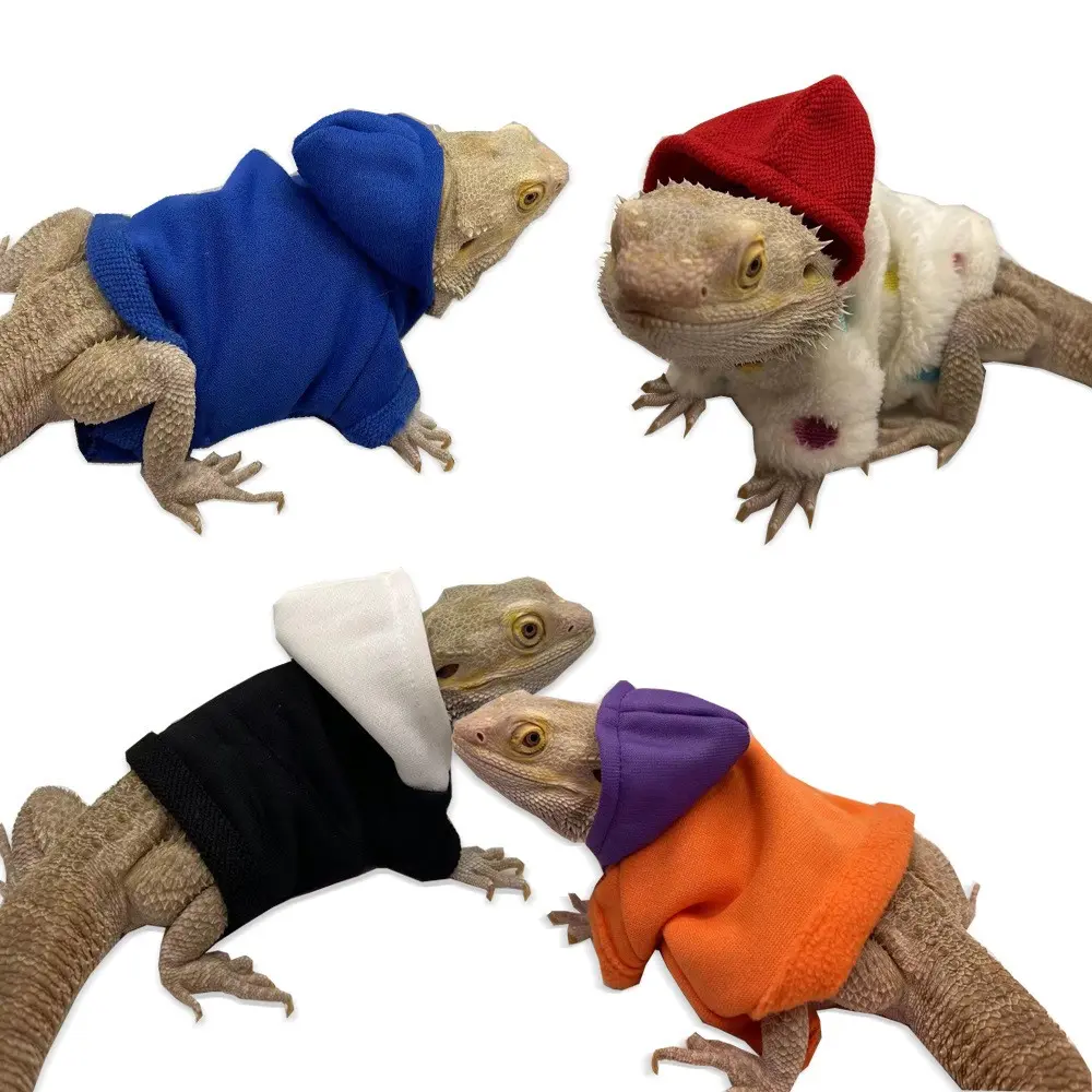 Lizard Costume for Bearded Dragons, Handmade Cotton Hoodie, Pet Clothing for Lizards, Koalas, Monitors, Unique Animal, Homemade