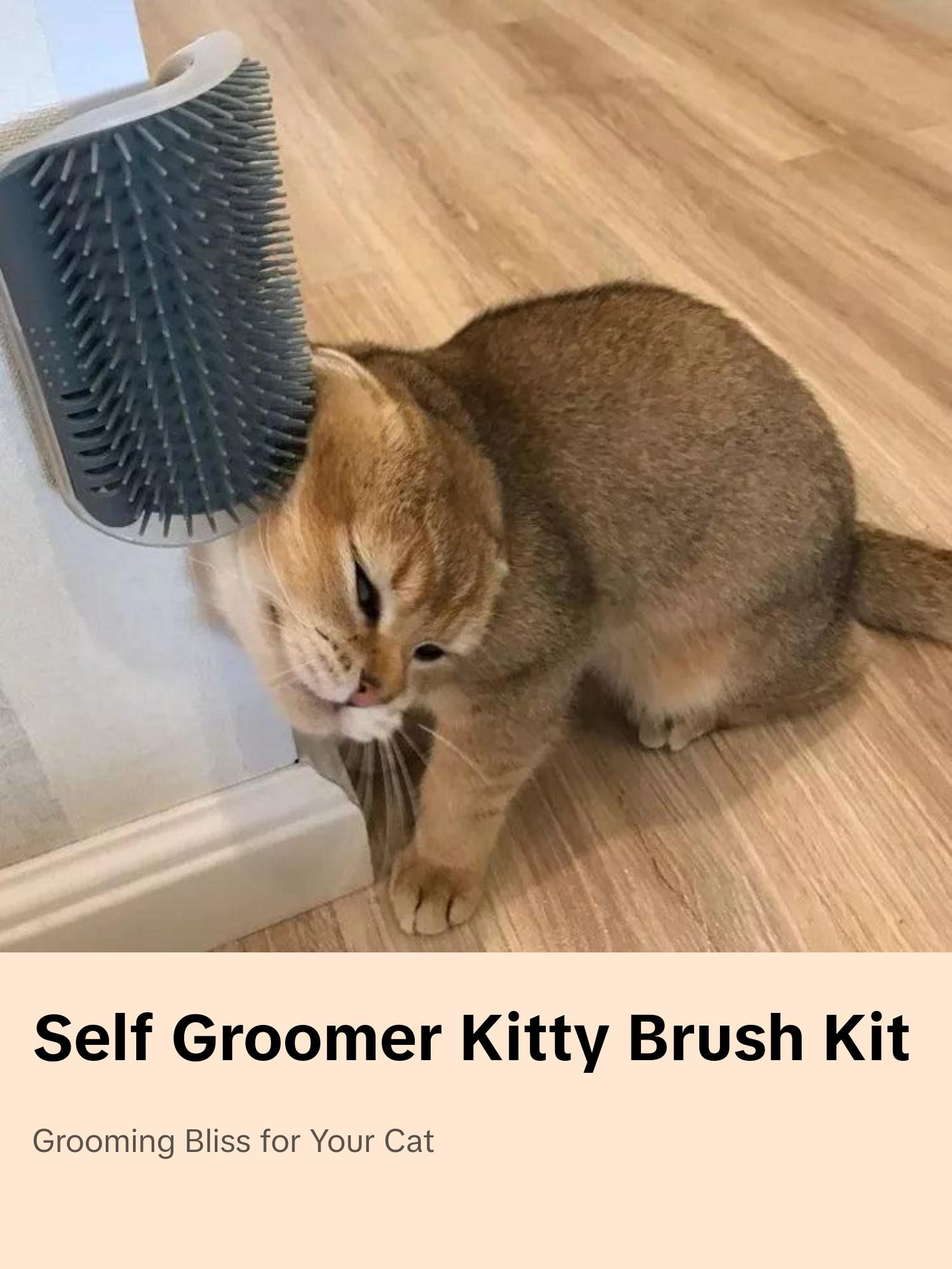 Self Groomer Kitty Brush