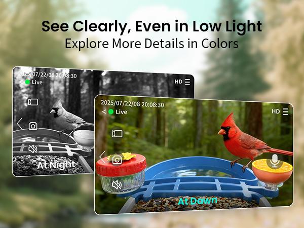Smart Bird Feeder with Camera Series – AI-Powered, Solar, 2K/2.5K HD, Auto-Bird ID, Motion Alerts, Perfect Gift for Bird Lovers