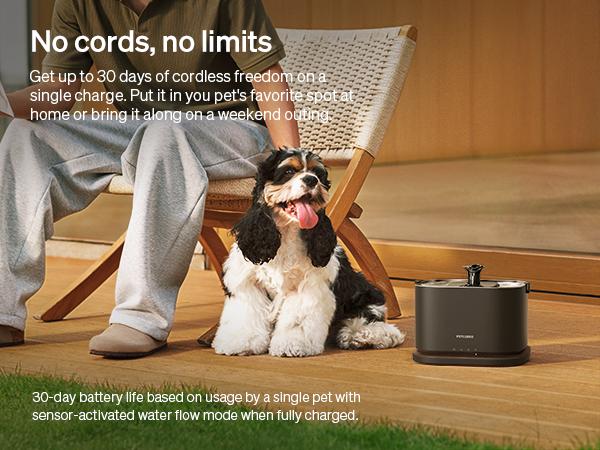 PETLIBRO APP Monitoring & Cordless Cat Water Fountain,Cordless Cat Fountain Battery Operated, App Monitoring 3L/101oz Dockstream 2 Pet Water Fountain with Stainless Steel Tray, 5GHz WiFi Dog Water Bowl Dispenser