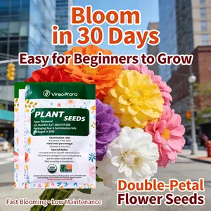 10,000pcs Double-Petal Moss Rose Seeds - Vibrant Mixed Colors, Easy to Grow, Drought Tolerant Garden Flower Seeds