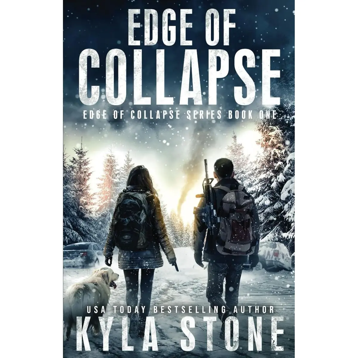 Edge of Collapse: A Post-Apocalyptic EMP Survival Thriller Paperback – January 27, 2020