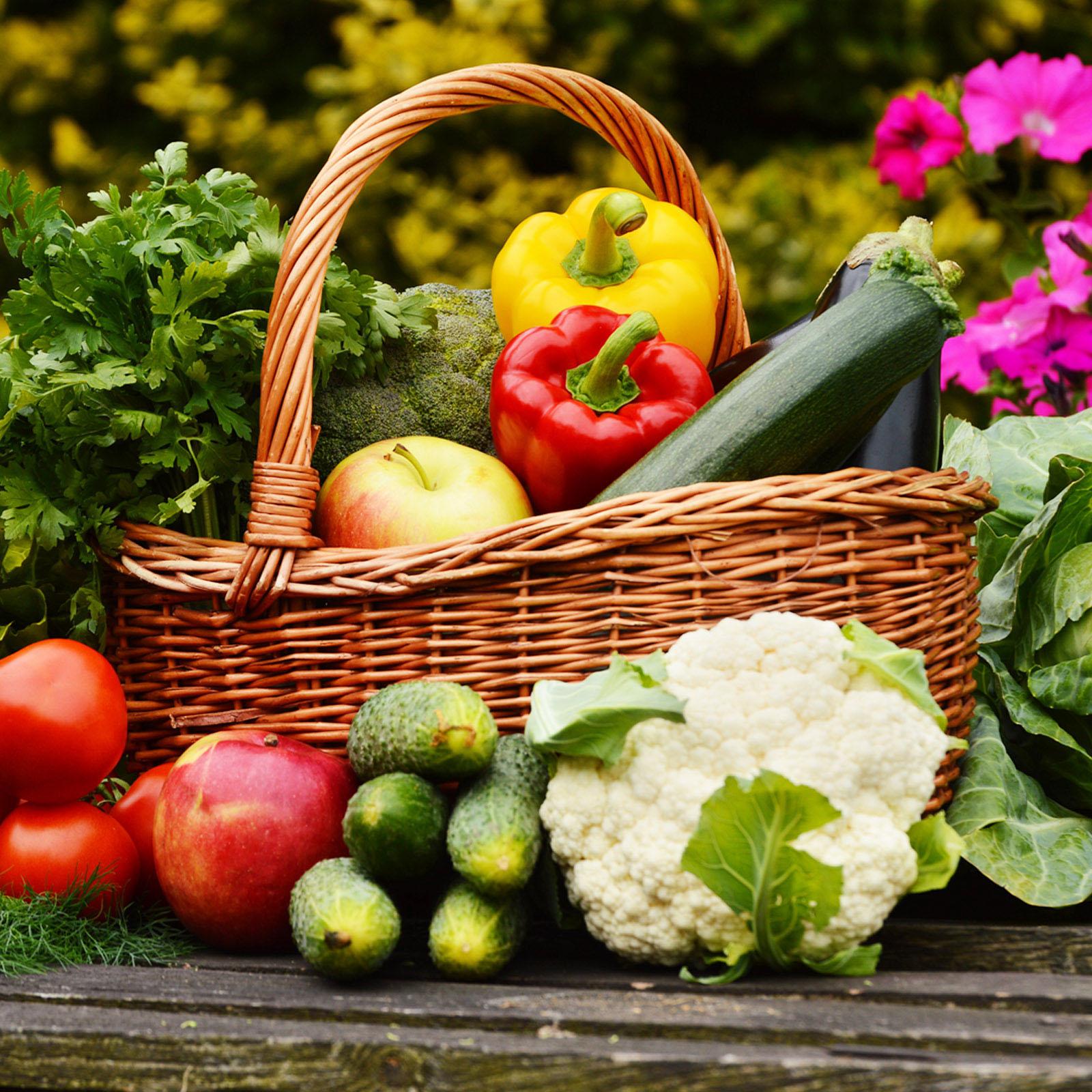 Humic Acid & Fulvic Acid Organic Fertilizer Used to Increase the Yield of Vegetables and Fruits, Revive Grassland, Increase the Vitality of Plant Roots,  Improve the Soil of in Door & Out Door Plants, Promote the Development of Beneficial Soil Bactaeria