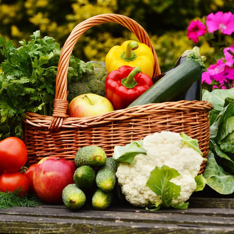 Humic Acid & Fulvic Acid Organic Fertilizer Used to Increase the Yield of Vegetables and Fruits, Revive Grassland, Increase the Vitality of Plant Roots,  Improve the Soil of in Door & Out Door Plants, Promote the Development of Beneficial Soil Bactaeria