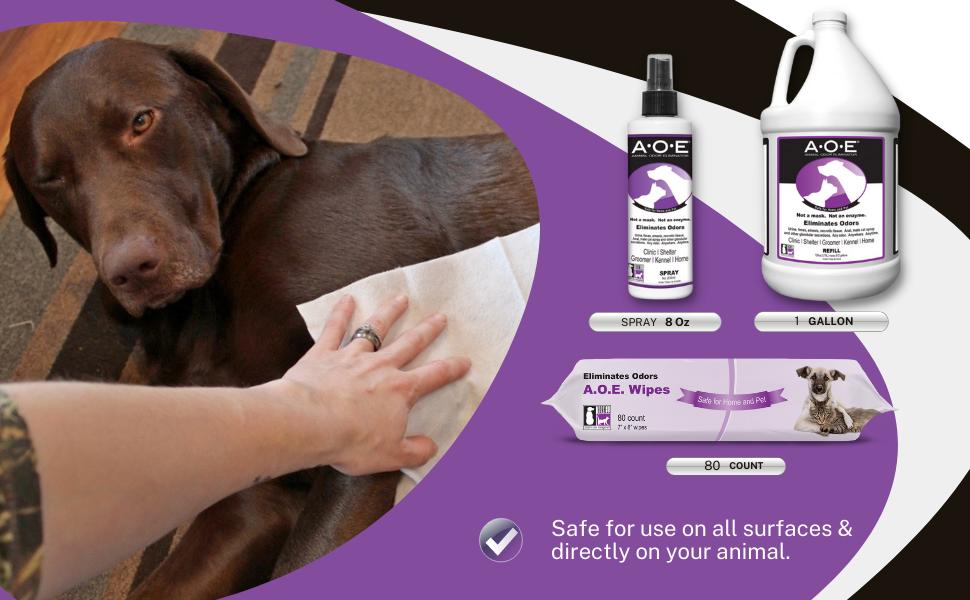 Odorcide Animal Odor Eliminator Refill ⧿ Pet Odor Remover ⧿ Secretions, Spray, Feces & Urine⧿ Safe, Non-Enzymatic Animal Deodorizer (1 Gallon)