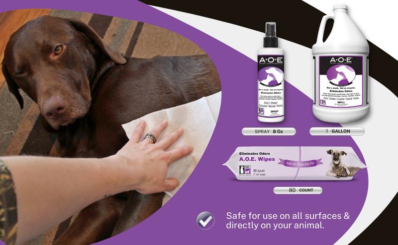 Odorcide Animal Odor Eliminator Refill ⧿ Pet Odor Remover ⧿ Secretions, Spray, Feces & Urine⧿ Safe, Non-Enzymatic Animal Deodorizer (1 Gallon)