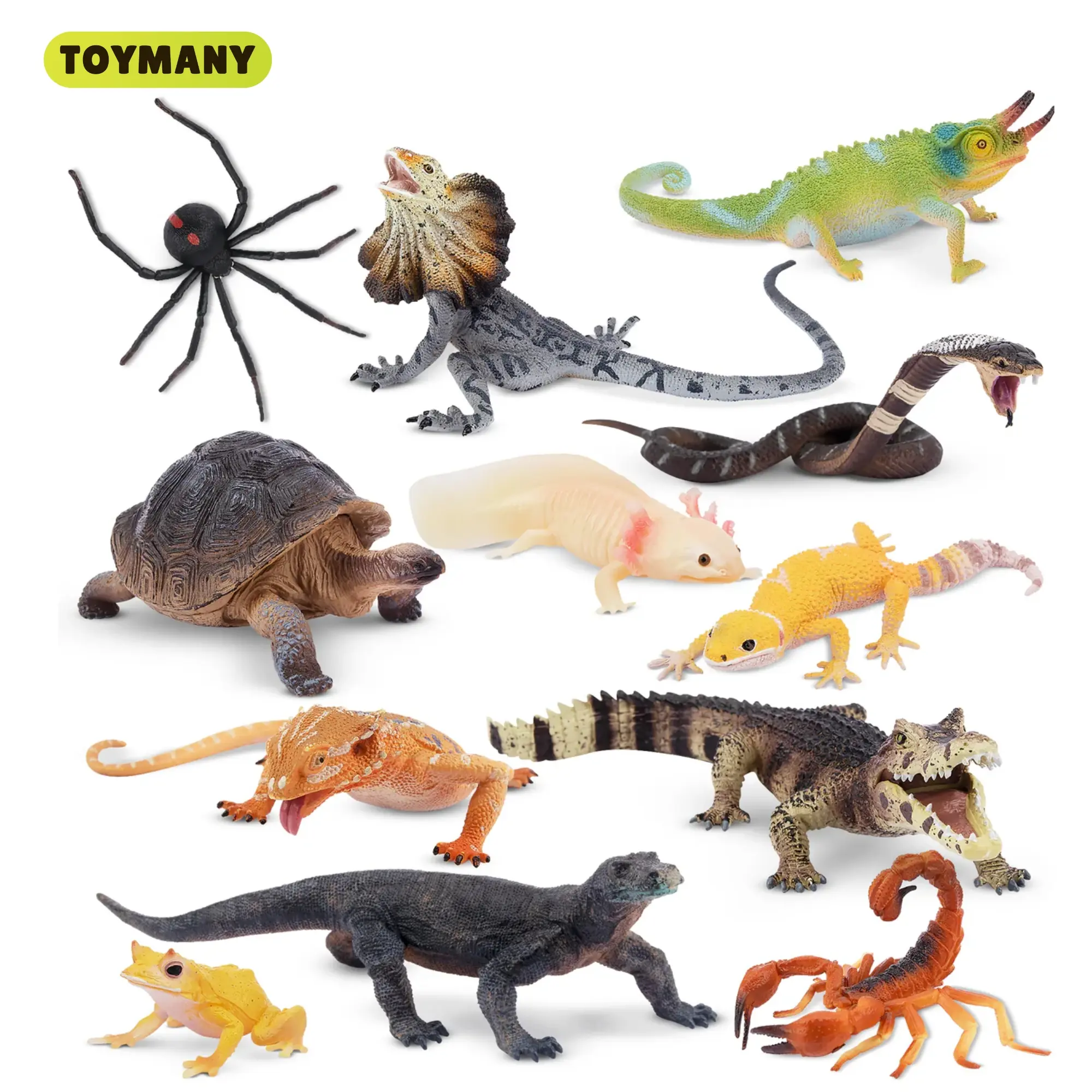 TOYMANY 12-PC PVC Plastic Realistic Reptile & Amphibian Animal Figure Set - Dragon Shaped, Lizard Shaped, Snake, Chameleon for 3+ Kids' Imaginative Play, Party Favors, Dragon Shaped Animals, Animal Figure Animals