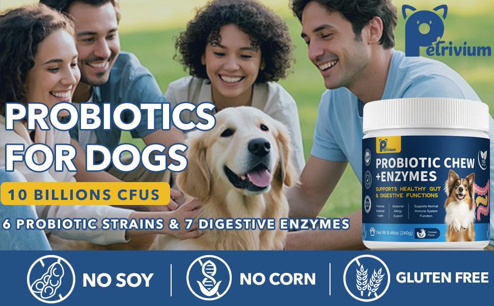 Probiotics for Dogs - Dogs Probiotics Chews with Enzymes & Fiber Blend Supports Gut Health, Boost Immune - Natural Probiotic Supplement for Digestive, Diarrhea, Gas, Constipation, Itchy Skin,120Ct
