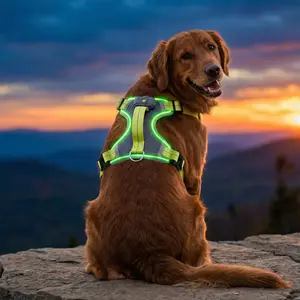Allforpaws K-Nite Light Up Reflective Dog Harness, Green, X-Large: 22 to 38-in chest, Safety and Rechargeable