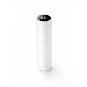 500ML Temperature Thermos Bottle