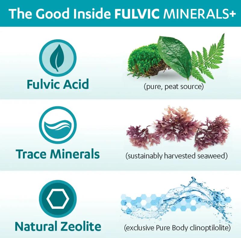 Pure Body Extra 60 mL Touchstone Essentials - Zeolite Detox Pack - Fulvic Detox Pack - DETOX Minerals Dietary Supplement - Healthcare, Vitamin