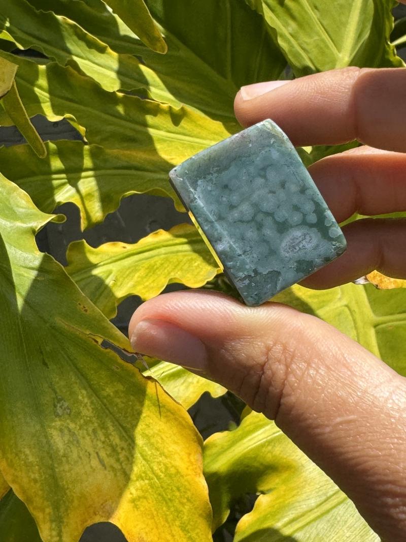 Moss Agate Crystal Free Forms