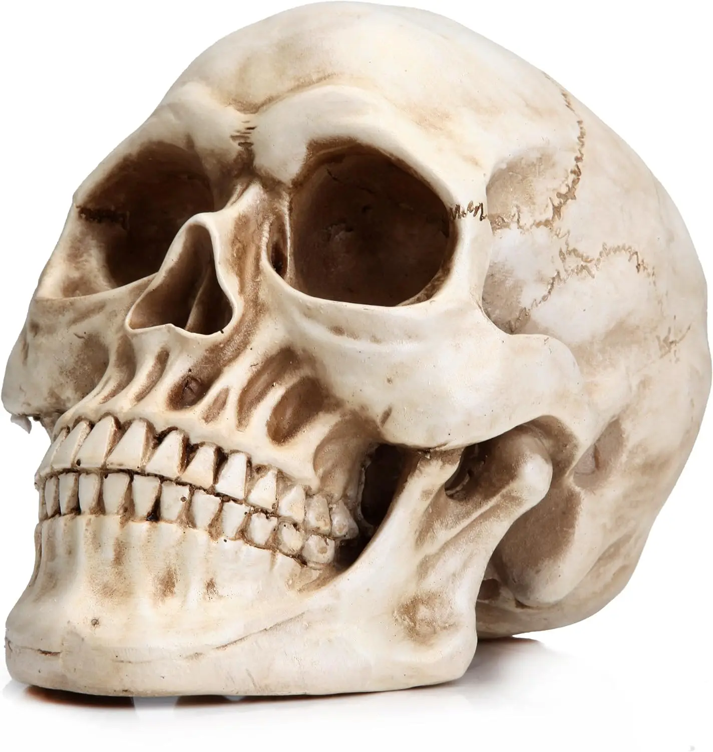 Realistic Resin Human Skull Sculpted Statue Figurine - Art Figurine, Dark Figure Decor, Gothic Home Decor, Desktop Decoration Ornament for Bookshelf & Funky Desk, Ideal for Gothic Aesthetic Enthusiasts, Figurines, Hyperrealism