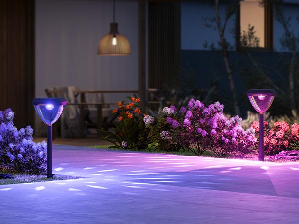 Linkind Smart Solar Pathway Lights – Bright Color-Changing Outdoor Lights with App Control for Yard & Garden