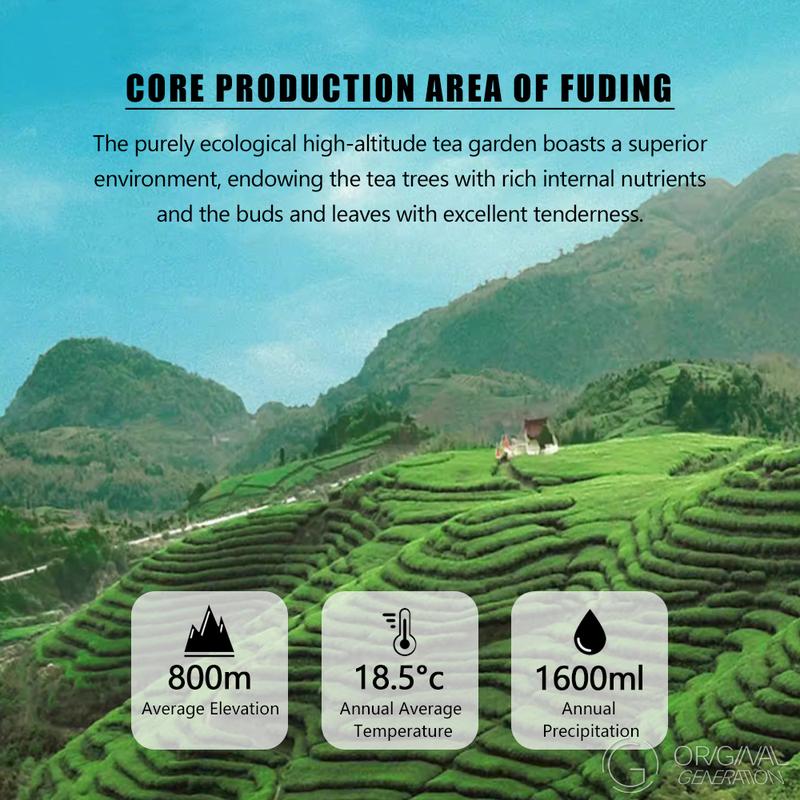 2019 Peony White Tea 500g