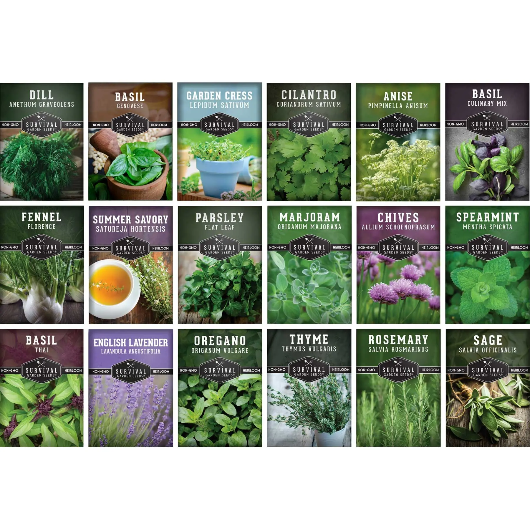 Culinary Herbs – 18