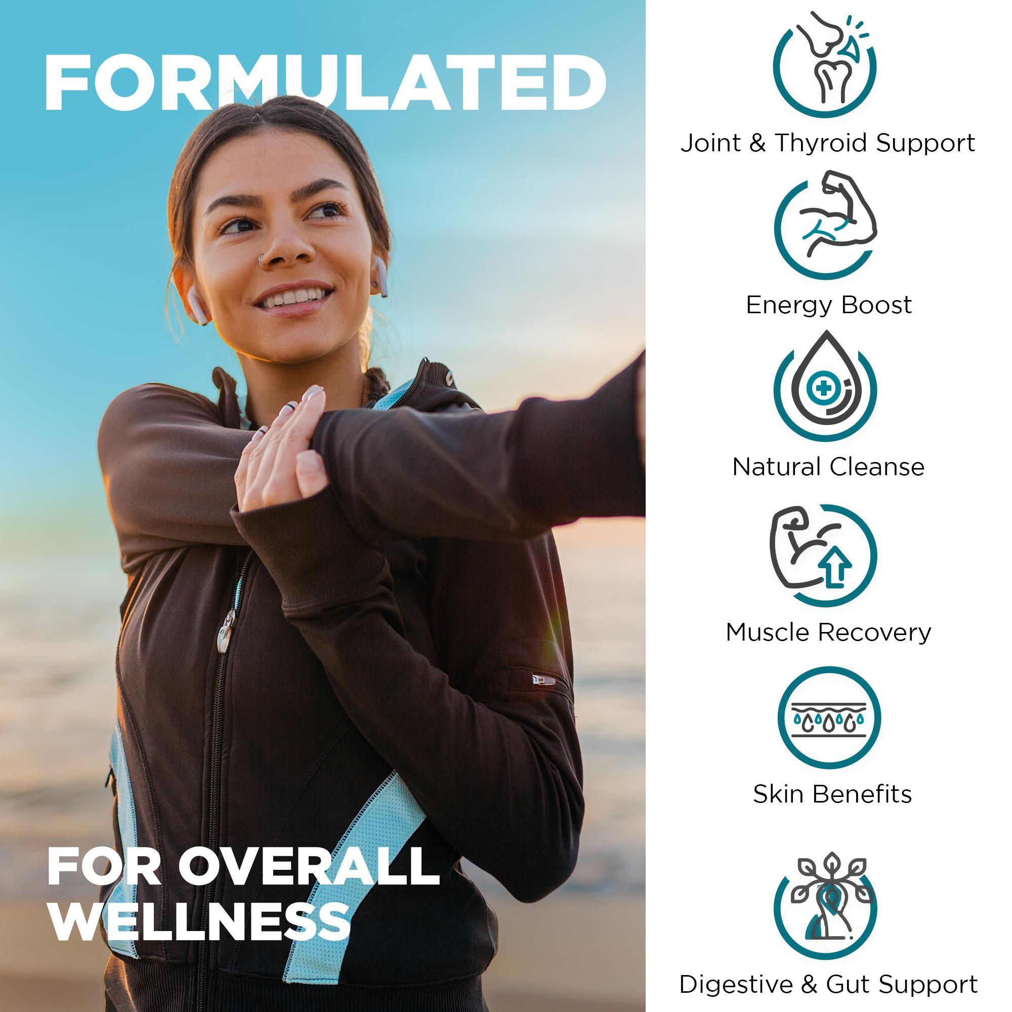 Nutrivein Organic Sea Moss 1600mg plus Bladderwrack & Burdock 120 Capsules Supplement - Prebiotic Super Food Boosts the Immune System