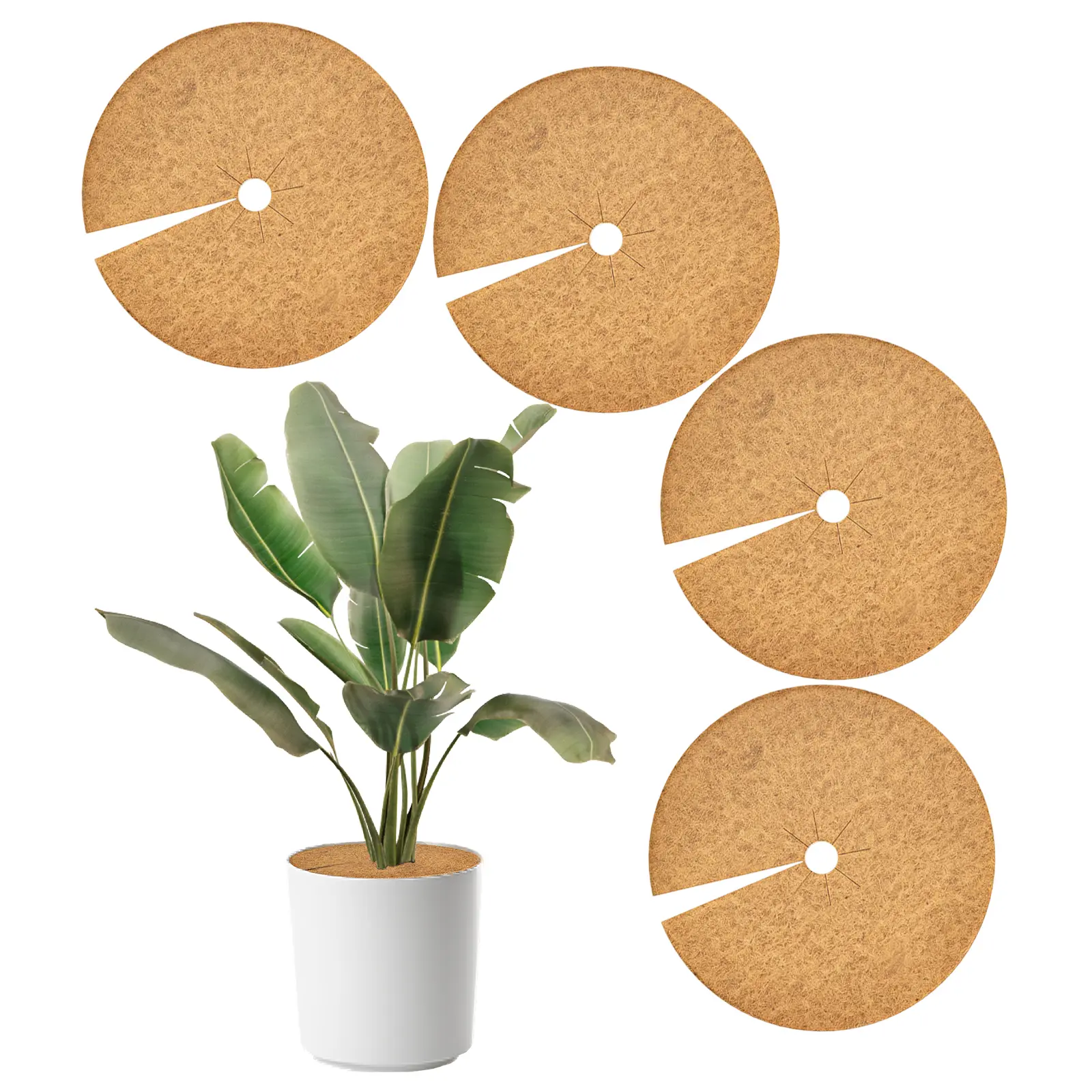 Bamworld 4pcs Natural Coconut Fiber Mulch Rings - Coco Coir Tree Protector Mats for Home Garden Landscaping, Office Potted Plants, Optimal Moisture Retention, Brown Decoration