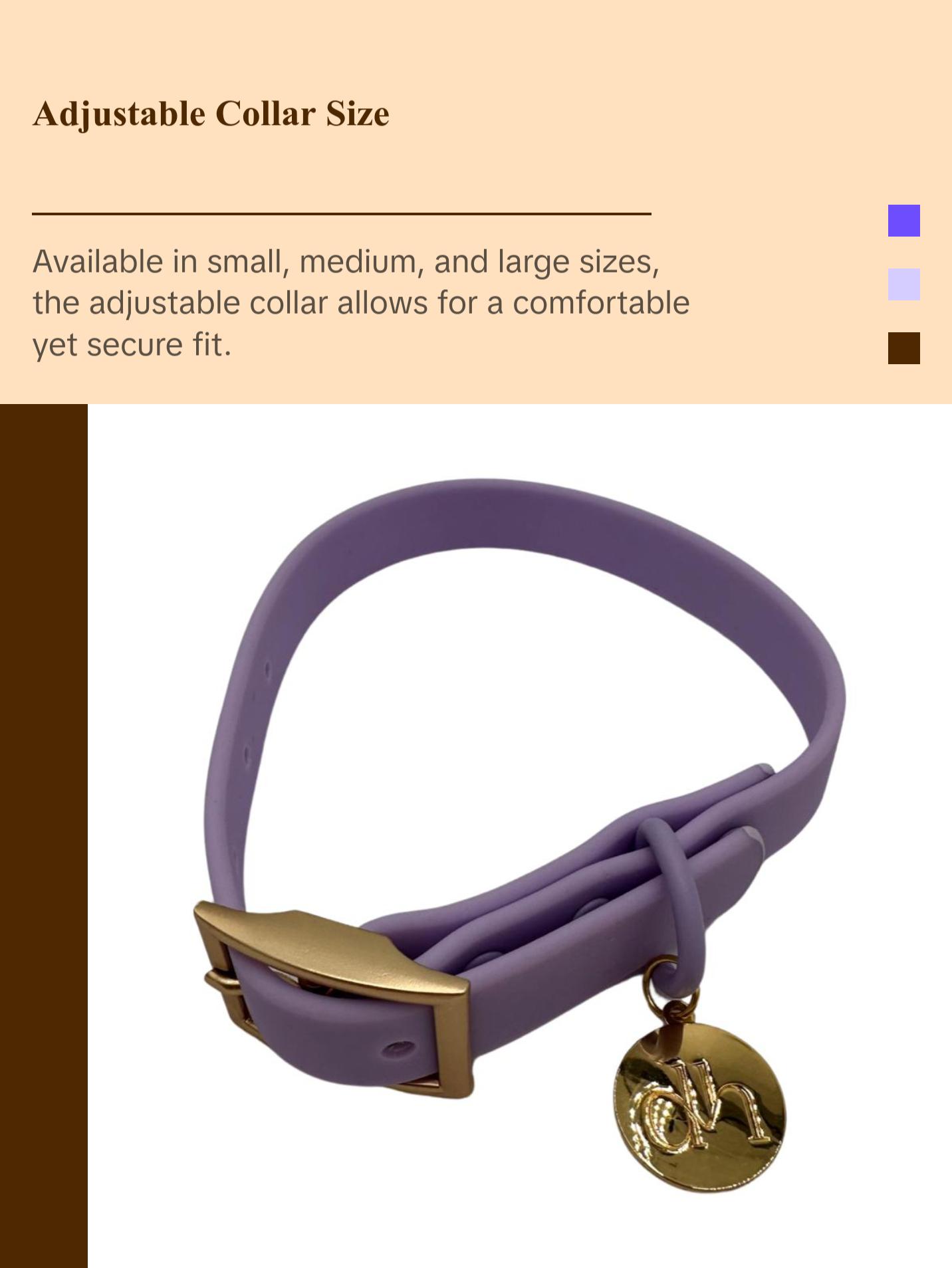 dh Designer PVC Collar & Leash Sets - Stylish Pet Accessories