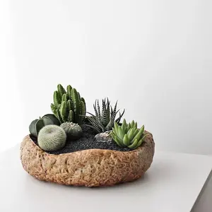 1LB Natural Gravel Pebbles, Cactus and Succulent Plants Pebbles, Small Decorative Polished Stones, Mixed Color River Rocks for Potted Plants, Vases, Aquariums, Terrarium and Outdoor Gardening