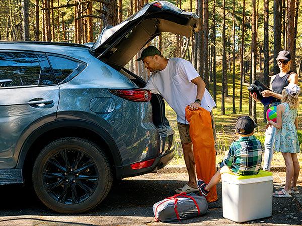 Lasfit fit for 2020-2026 Toyota Highlander Hybrid Floor Mats & Seatback & Cargo Mat, Fit AWD Only