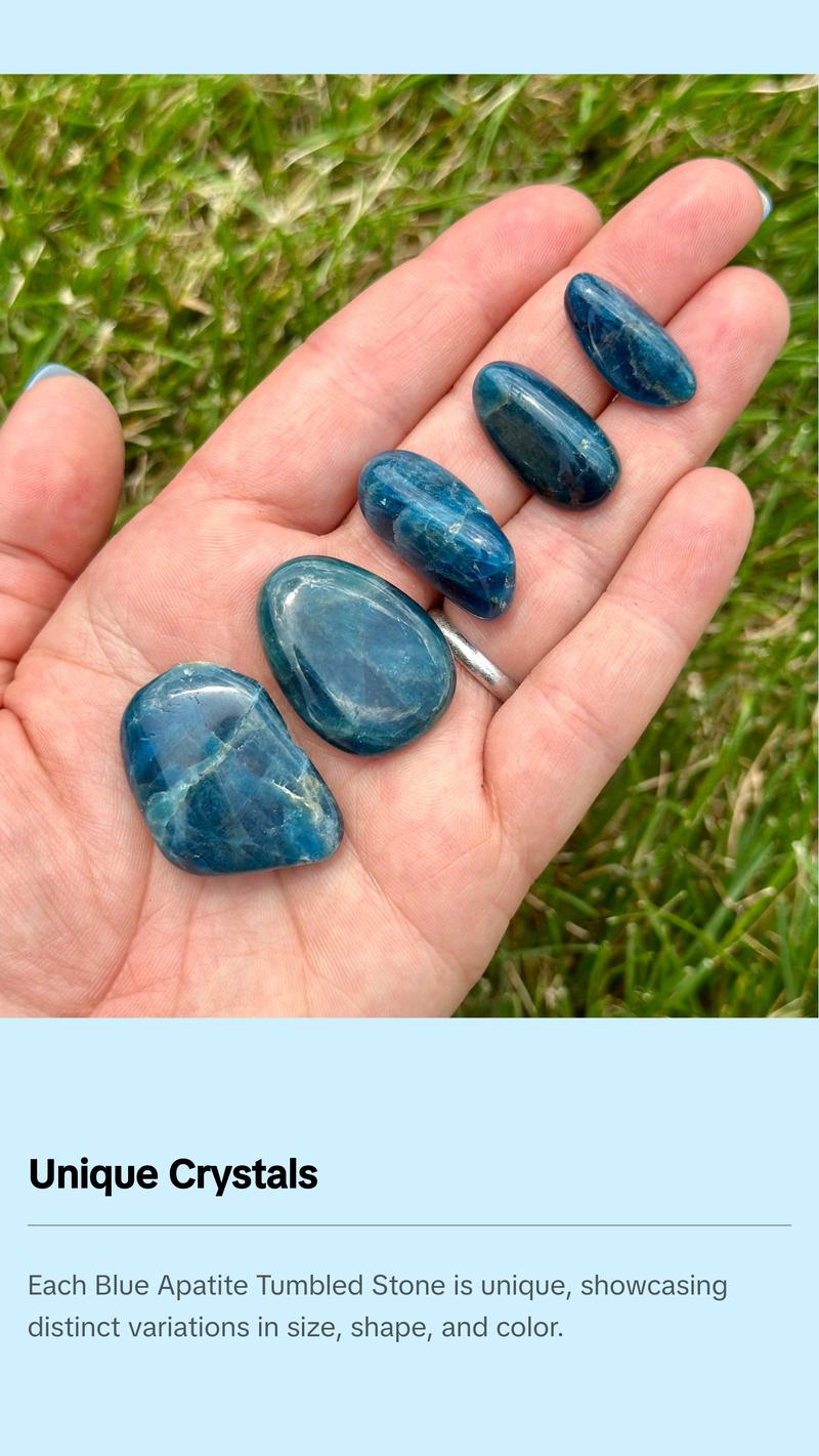 Blue Apatite Tumbled Stone - Blue Apatite Crystal from Madagascar - Motivation Crystal - Polished Blue Apatite Gemstone