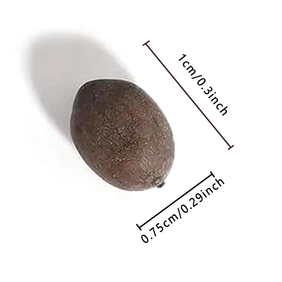 20 Mixed Color Bonsai Lotus Seeds for Ornamental Ponds & Home Planting - Easy to Plant, All Seasons, Open Mouth Bowl Variety