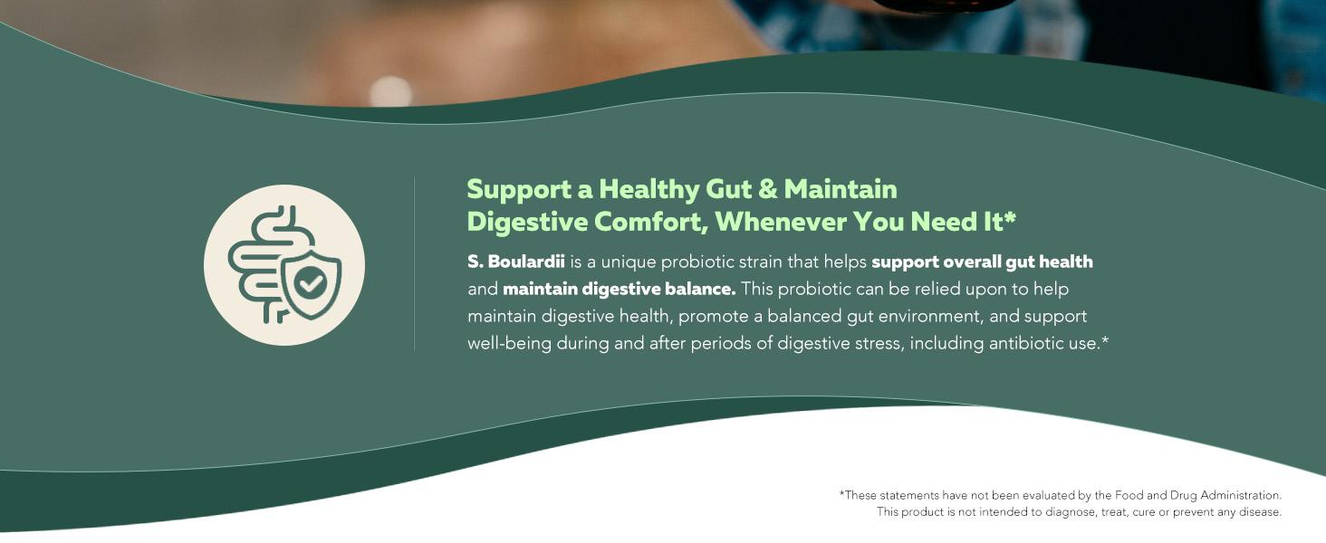 Organic Saccharomyces Boulardii | 10 Billion CFU – Clinically Validated CNCM I-1079 – Supports Gut & Digestive Health – 60 Count Healthcare Natural