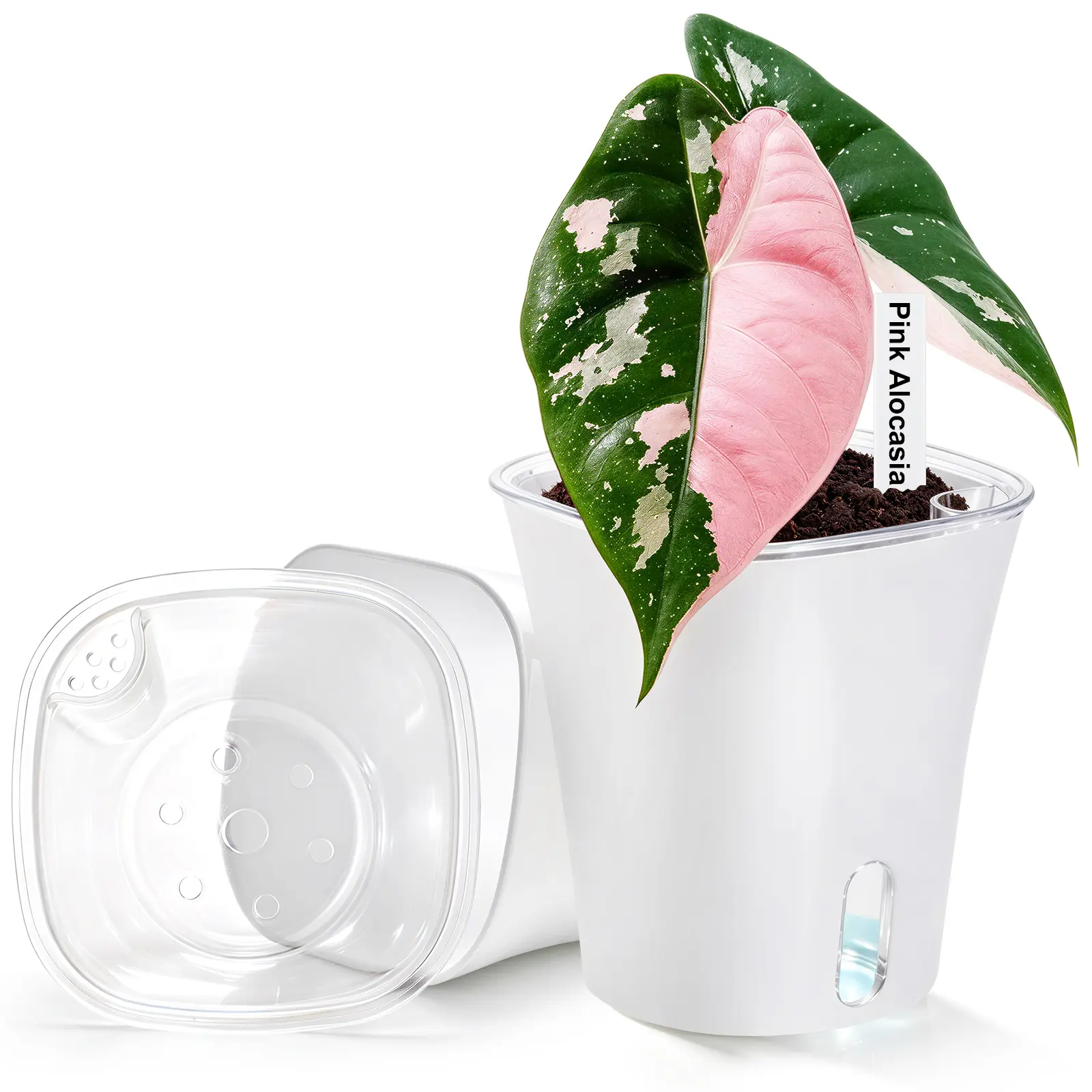 Plastic Self-Watering Indoor Planters for Beginners - 3-4 In Multi-Size Hydration Aid Pots with Transparent Inner Pots, Water Level Window - 5/6/10 Packs for African Violets, Succulents