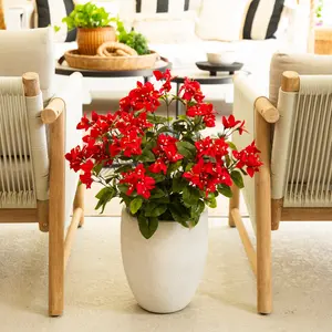 19" UV Resistant Artificial Bougainvillea Bush (Indoor/Outdoor) - Set of 4 19" UV Resistant Artificial Bougainvillea Bush (Indoor/Outdoor) - Set of 4