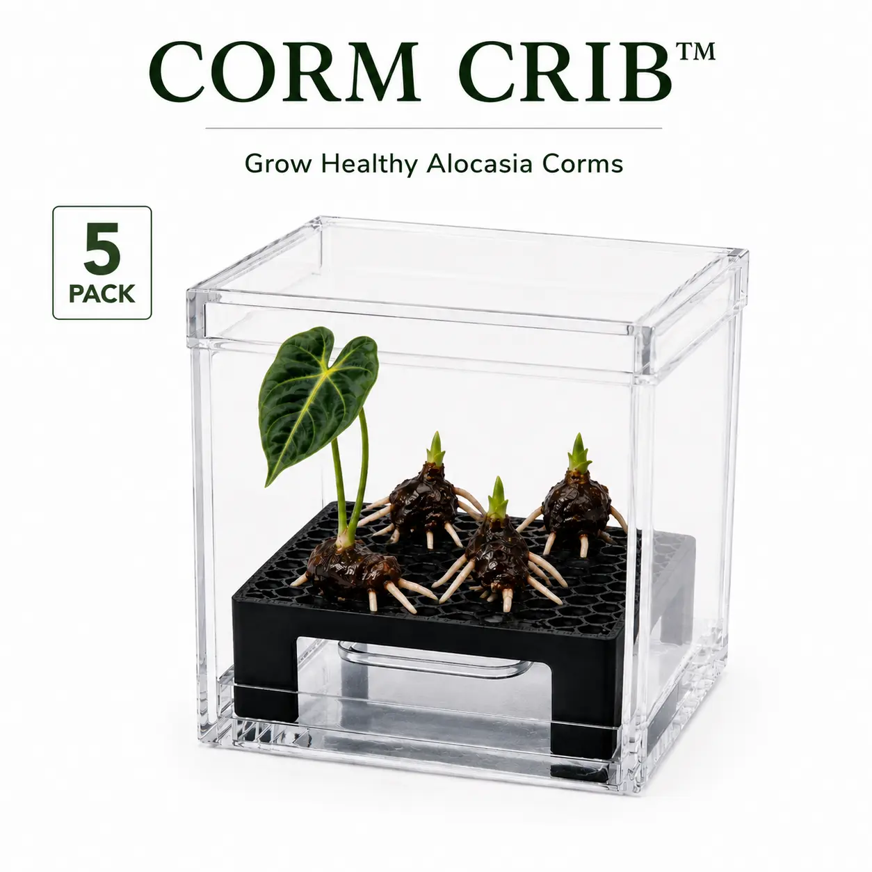 Corm Crib™ — 5-Pack