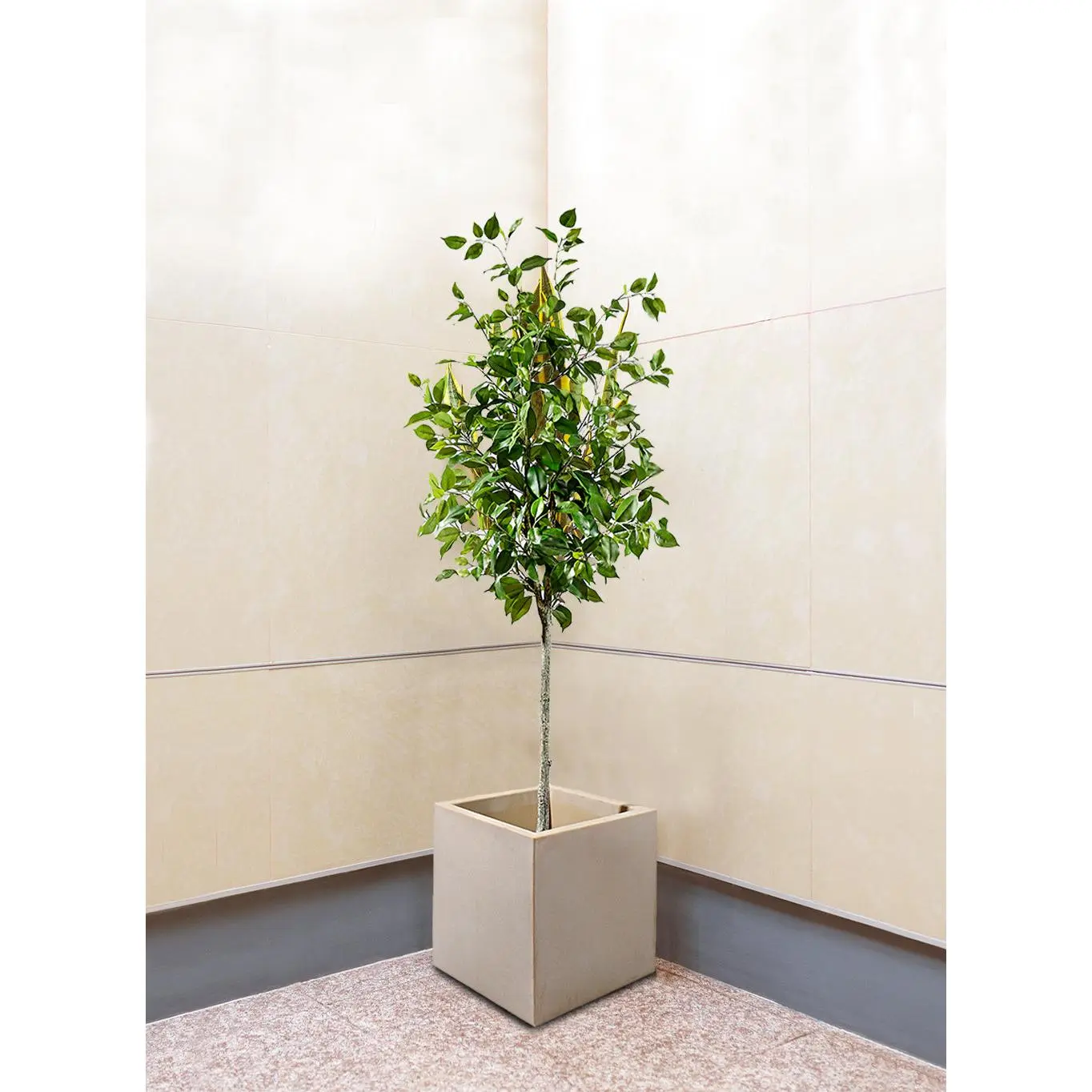 Vintage White Stone-Textured Planter Box, in 2 Sizes Pot Decorative