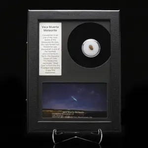 Rare Vaca Muerta Meteorite – Mesosiderite Space Rock in Collector’s Display Box