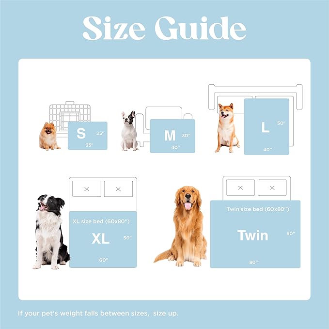 Lesure Waterproof Pet Blanket for Dogs & Cats - Cozy Winter Dual-Sided Jacquard Shag & Sherpa Fleece Blanket For Pets And Humans, 3D Textured Cloud Pattern, Machine Washable, Durable & Portable, Soft Couch Protector, Versatile Pet Blanket Lesure Waterproof Pet Blanket for Dogs & Cats - Cozy Winter Dual-Sided Jacquard Shag & Sherpa Fleece Blanket For Pets And Humans, 3D Textured Cloud Pattern, Machine Washable, Durable & Portable, Soft Couch Protector, Versatile Pet Blanket