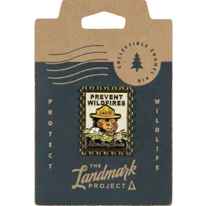 Smokey Bear Postage Stamp Pin
