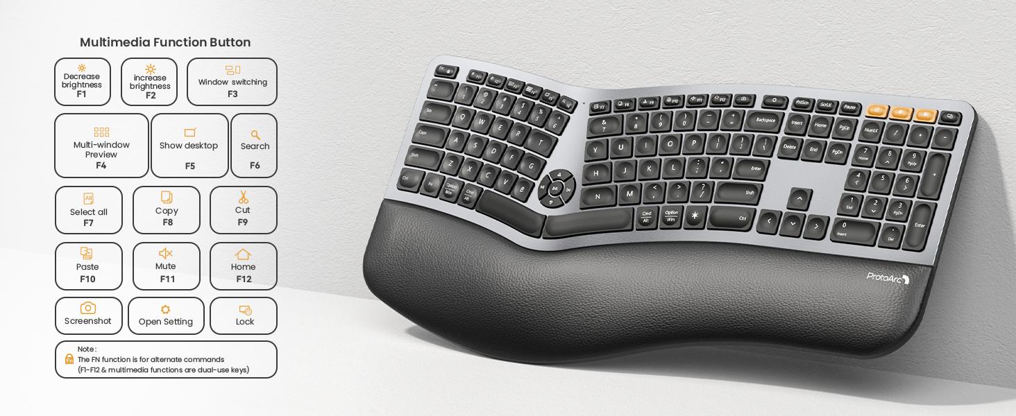 ProtoArc Backlit Bluetooth Ergonomic Keyboard, EK01 Plus Full Size Wireless Split Keyboard with Dual Bluetooth and USB, Cushioned Wrist Rest, Rechargeable, Compatible with Windows/Mac/Android