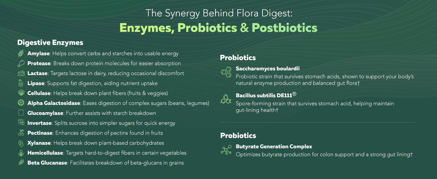 Flora Digest | 3-in-1 Digestive Enzymes, Probiotics & ButyraGen Postbiotic – Supports Digestive Comfort, Bloating Relief & Colon Health – 30 Capsules fitness dietary